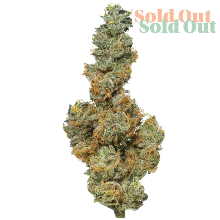 Apple Sauce Hemp Tea Flower Sold Out