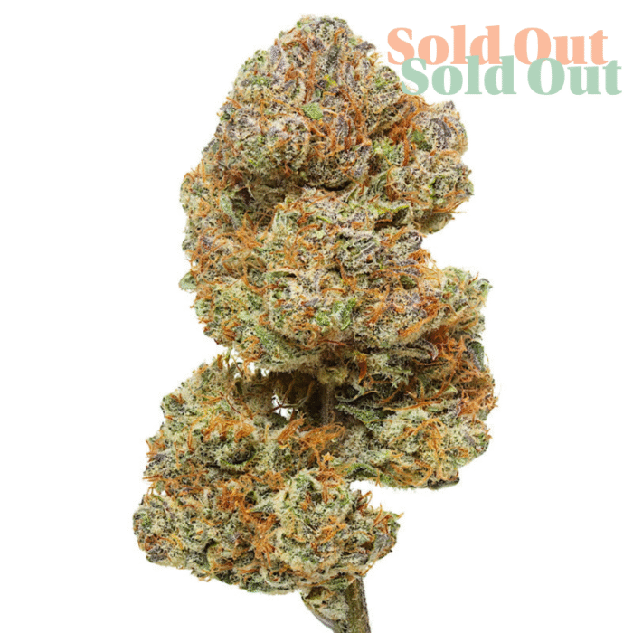 Cakeberry Brule CBD Flower