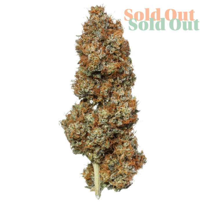 Orange Glaze Hemp Tea Flower Sold Out