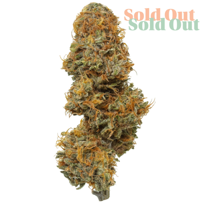 Gassed up CBD Flower