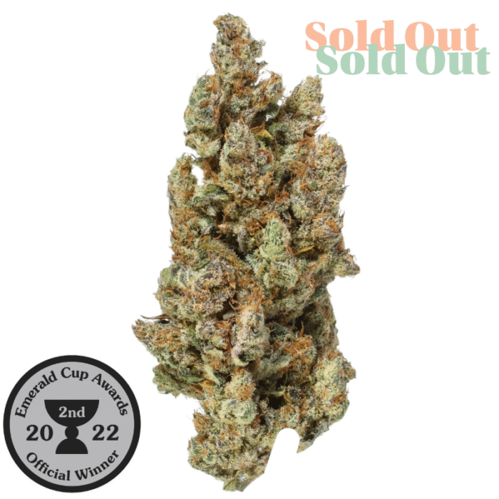 Grapefruit Hemp Tea Flower Sold Out