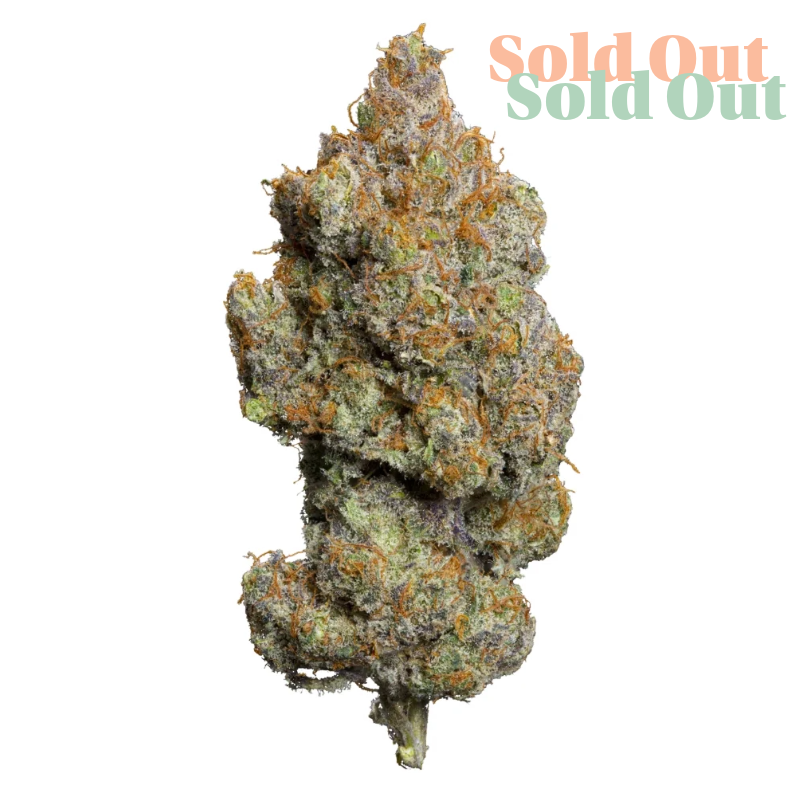 Dutch Grandma CBD Flower