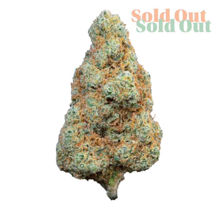 Gorilla Mandarin is a distinctive Italian-bred CBD strain, celebrated for its rich aroma and refined flavour profile. Developed by Sensi Break, it’s the result of crossing Fragolini #51 with Tangie #5, creating a smooth and flavourful expression of citrus and floral notes, all in a beautifully trimmed hemp flower. Aroma & Taste: A vibrant blend of grapefruit zest and light incense-like earthiness. Subtle sweetness balanced by citrus sharpness and herbal undertones. Exceptionally light and clean on the palate—surprisingly delicate for a hemp flower. Terpene Profile: Limonene – Delivers bright citrus aromatics. Terpinolene – Brings fruity sharpness and floral hints. Myrcene – Rounds out the profile with a gentle herbal base. Highlights: Contains 8.38% CBD – ideal for a mellow, aromatic experience. Indoor-grown for consistency and superior visual quality. A modern Italian cultivar with a focus on flavour, aroma, and elegance.