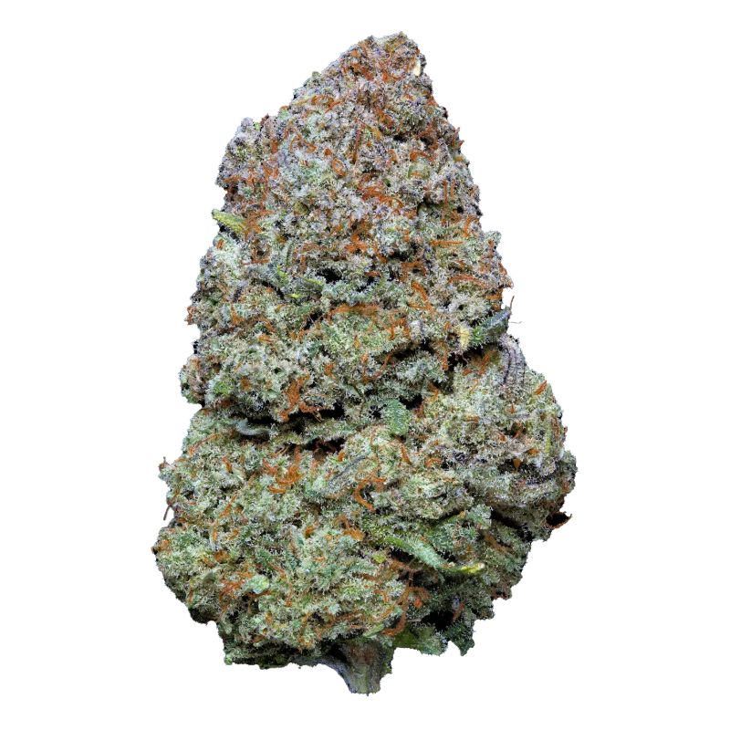 Orange-Martini-Hemp-Tea-Flower-CBD-9.63-Premium