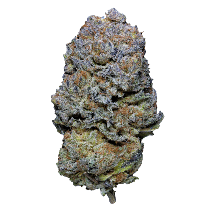 Purple Kush Pop Hemp Tea Flower 12.36% CBD
