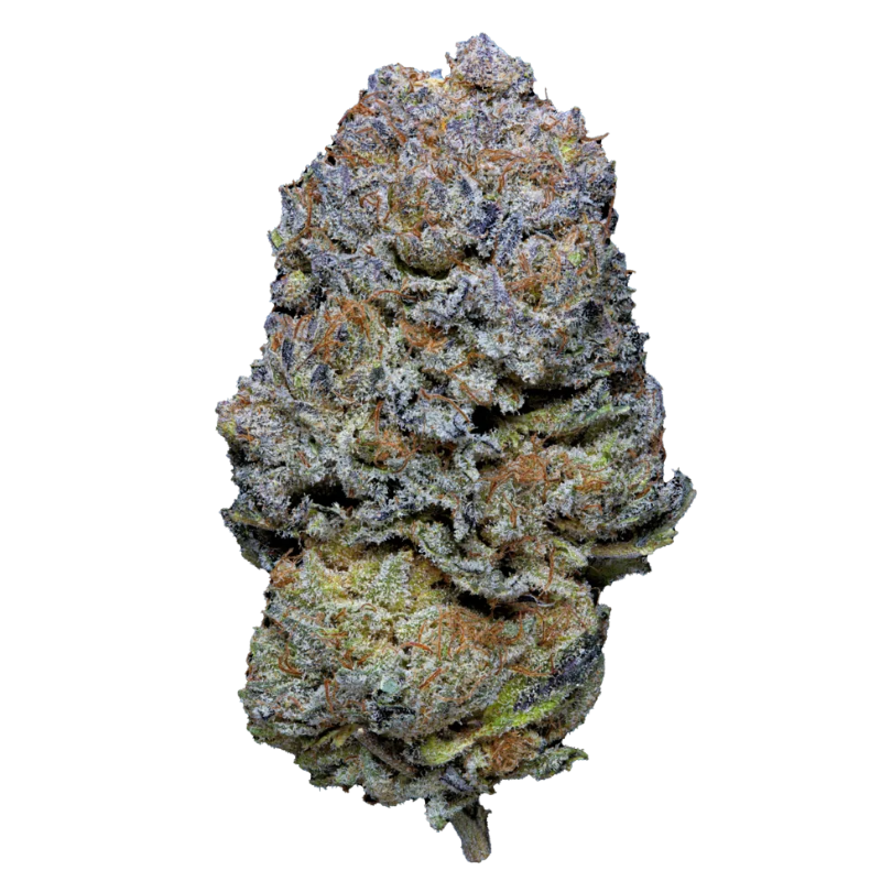 Purple Kush Pop Hemp Tea Flower 12.36% CBD