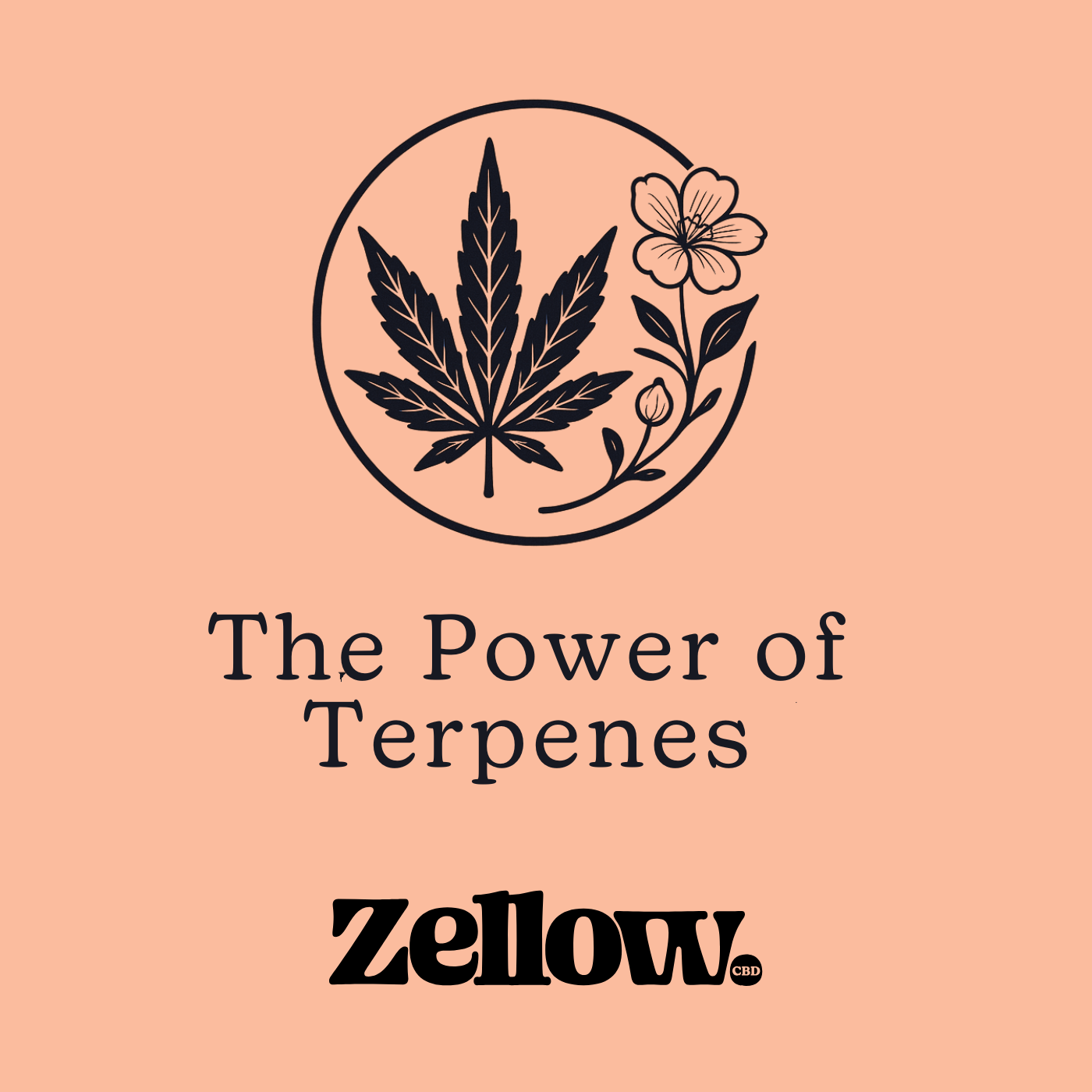 CBD Flower Terpenes