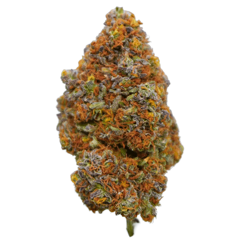 LA Sunzet delivers a clean, West Coast-inspired CBD experience with its compact, well-formed buds and vibrant character. Grown indoors under hydroponic LED cultivation, this strain combines quality genetics with precision care, producing a flower that is both consistent and enjoyable.